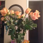 Patricia Gresham - @pgresham131 - Instagram