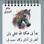 Patricia Grout - Facebook