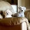Patricia Gunderson - @patricia.gunderso - TikTok