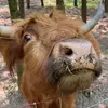 patriciaguseman - @patriciaguseman - TikTok