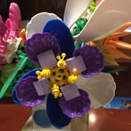 Patricia Hammack - Facebook