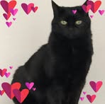 Patricia Hands - Facebook
