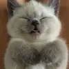 patriciahands - @patriciahands - TikTok