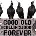 Trish Harriott - Facebook