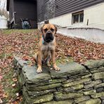 Patty Herzig - Facebook