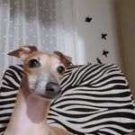 Patricia Holzer - @patrcia_h64 - Instagram