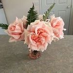 Patricia Hook - @patricia_hook - Instagram