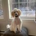 Patricia Hulbert - Facebook