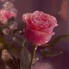 Patricia Ide - @patricia.ide1 - TikTok