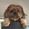 Alma.enxovaisltda - @mariapatriciaimm - TikTok