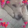 patriciaivers6 - @patriciaivers6 - TikTok