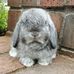 Patricia Jarratt - Facebook