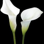 Patty Jeffs - Facebook