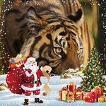 Patricia Joubert - @patricia.joubert.589 - Instagram