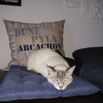 Patricia Joubert - @patricia.joubert.146 - Instagram