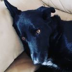 Patricia Joubert - @patricia.joubert.547 - Instagram