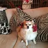 patriciakearns64 - @patriciakearns64 - TikTok