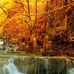 Patricia Kees - Facebook