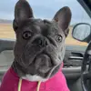 Patricia Keesee - @patriciakeeseegiffen - TikTok