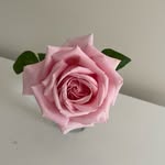 Patricia kilpatrick - @tidypat2500 - Instagram