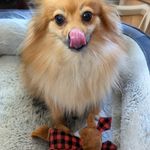 Patricia Kizer - @chevy3possum - Instagram