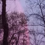 Patricia Kovach - Facebook