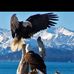 Patricia Landis Kulp - Facebook