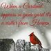 Patricia Ladd - Facebook