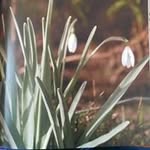 Patricia Lafferty - @patricialafferty10 - Instagram