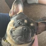 Patricia Lafferty - @plaffertyc - Instagram