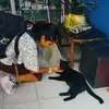 Patricia Landero - @patricia.landero2 - TikTok