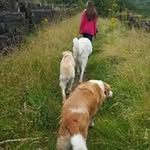 Patricia Lear - @patricia.lear.9 - Instagram