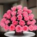 Patricia Leithold - Facebook