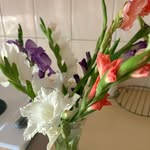 Patricia Lemmon - @patricia.lemmon1 - Instagram
