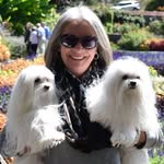 Patricia Bedard Lenhardt - @lenhardt_patricia_bedard - Instagram