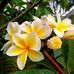 Patricia Leoni - Facebook
