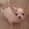 patricialevan493 - @patricialevan493 - TikTok