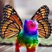 Patty Lightner - Facebook