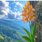 Patricia Lizardi - Facebook
