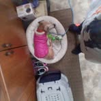 Patricia Anne Lochner - Facebook