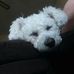 Patty Longbottom - Facebook