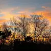 Patricia Mabe - @patricia.mabe7 - TikTok