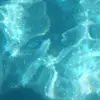 Patricia MacIsaac591 - @moonlitmermaid - TikTok