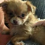 Patricia Magers Johns - @patriciamagers - Instagram