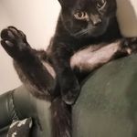 Patricia Maillet - @wumen - Instagram