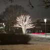 Patricia.mango - @patricia.mango - TikTok