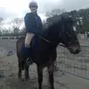 patriciamannion - @patriciamannion - TikTok