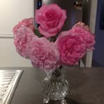 Patricia Markey - Facebook