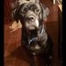 Patricia Domotor Markovich - Facebook