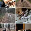 Patricia Makovich - @patricia.makovich - TikTok